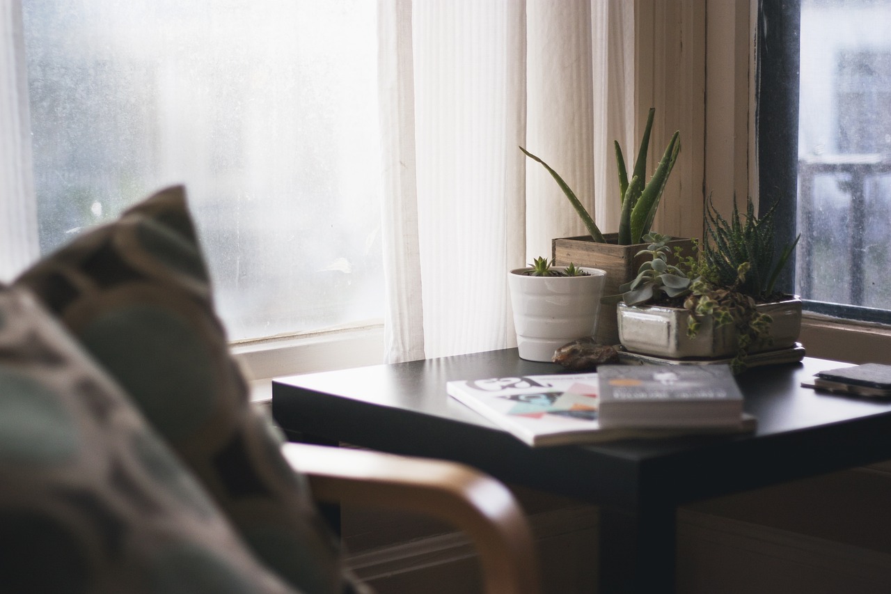 Plant met luchtzuiverende eigenschappen in slaapkamer. Plant met luchtzuiverende eigenschappen in slaapkamer.