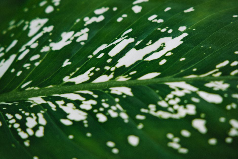 Kleine potplanten creëren een serene sfeer.