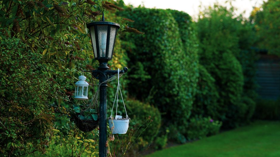 LED-lampen verlichten duurzame tuin 's nachts. LED-lampen verlichten duurzame tuin 's nachts.