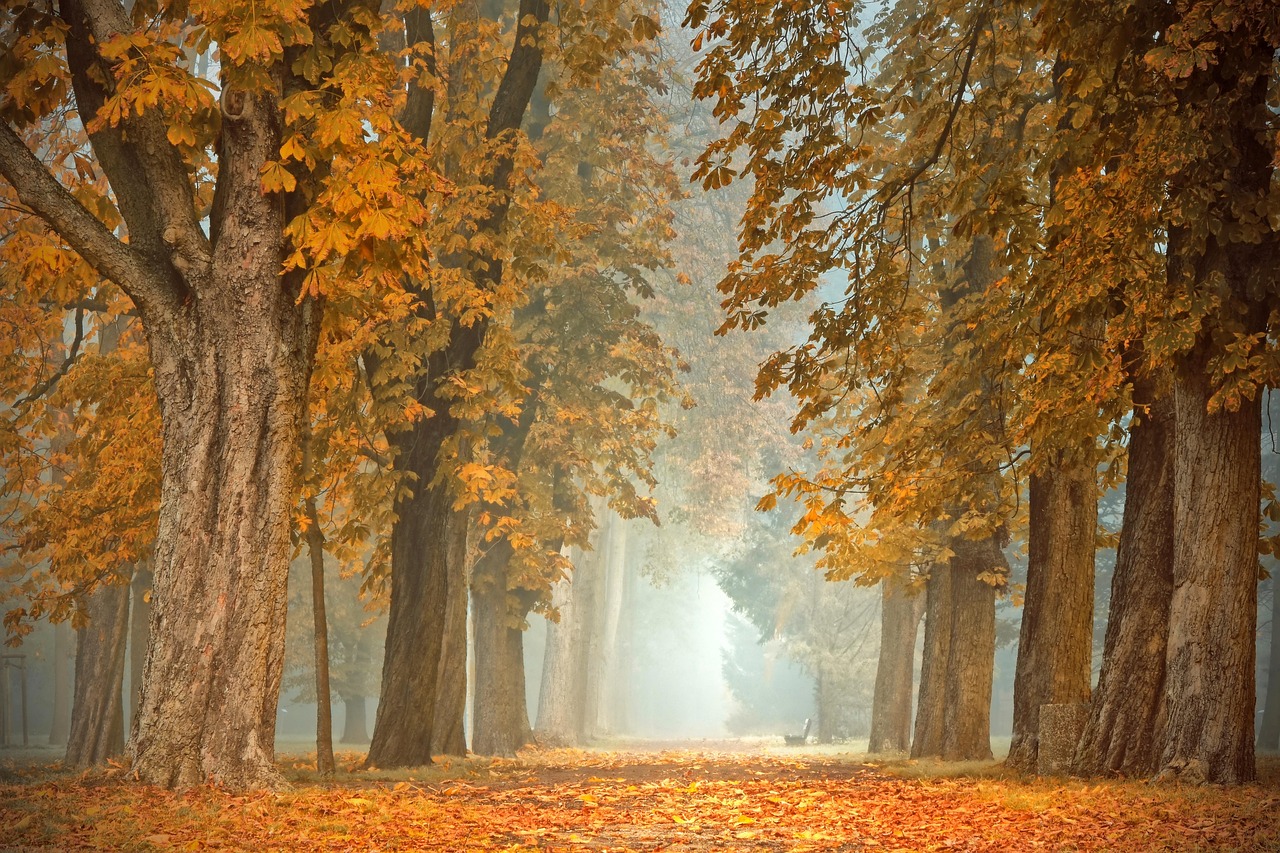 Milieuvriendelijke regenlaarzen in modderige herfsttuin.